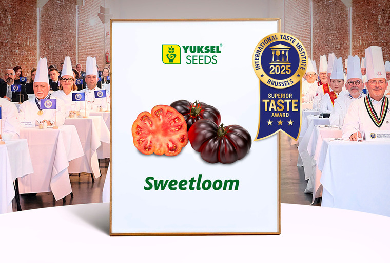 Sweetloom I Princessa Nagrodzone Przez International Taste Institute