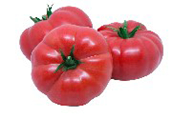 Sonarosa F1